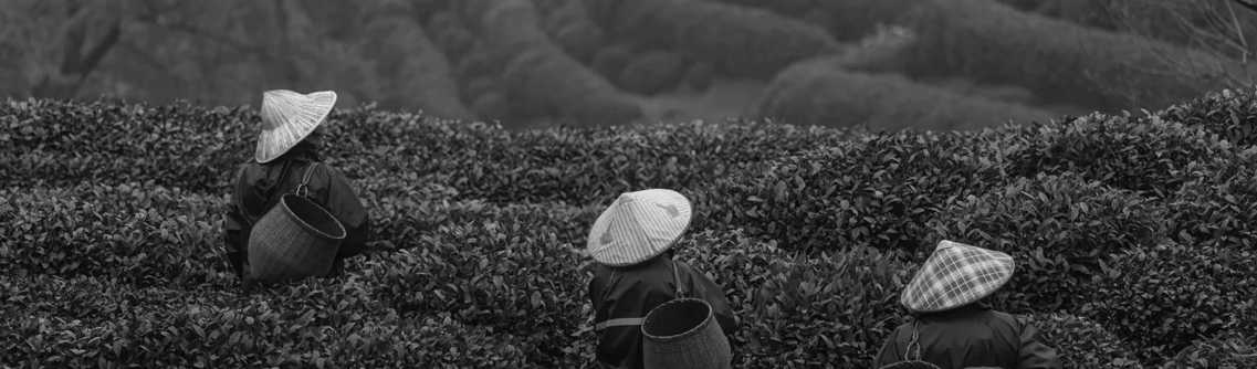 blog post